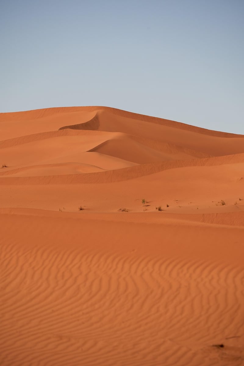 Dune
